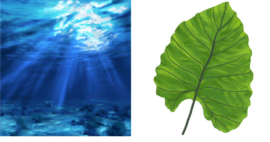 curso pintura digital com photoshop folha e fundo do mar