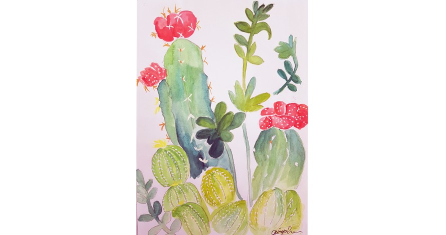 ilustração cactus aquarela