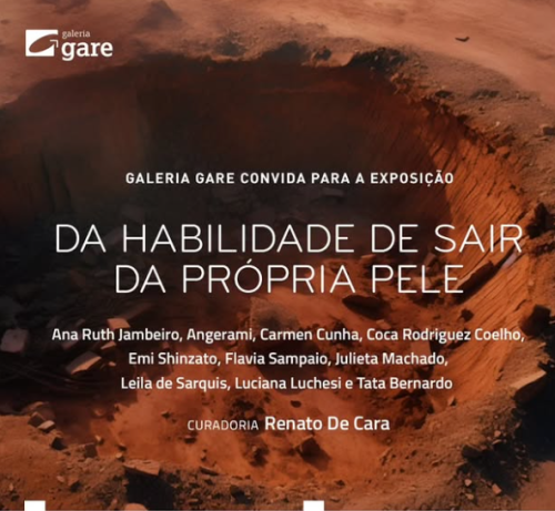 exposição mentoria renato de cara