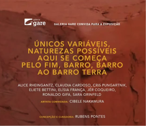 Exposição Únicos variáveis, Naturezas possíveis